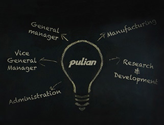 Why Pulian？