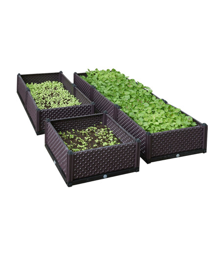 Fashionable Vegetable Garden